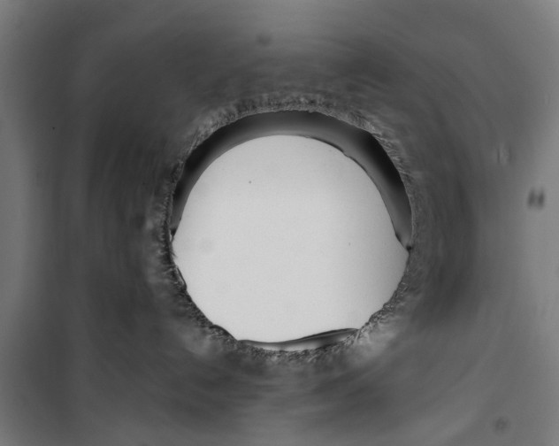 X0000099930192200806201105