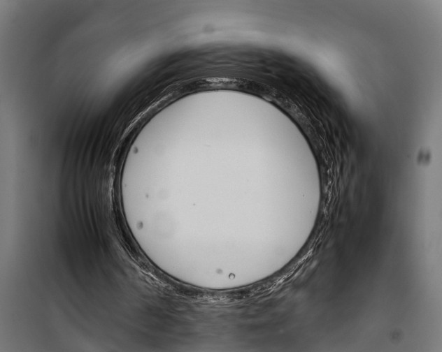 X0000099930194200806201105