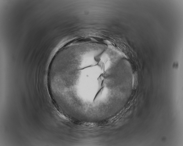 X0000099930195200806201105