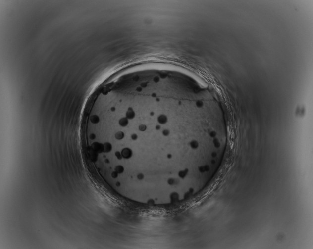 X0000099930196200806201105