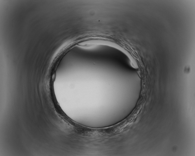 X0000099930197200806201105