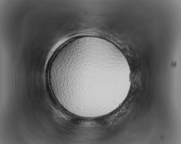 X0000099930200200806201105