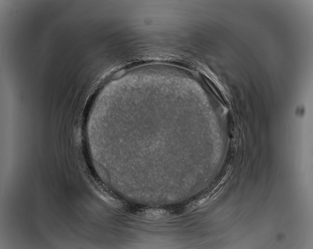 X0000099930203200806201104