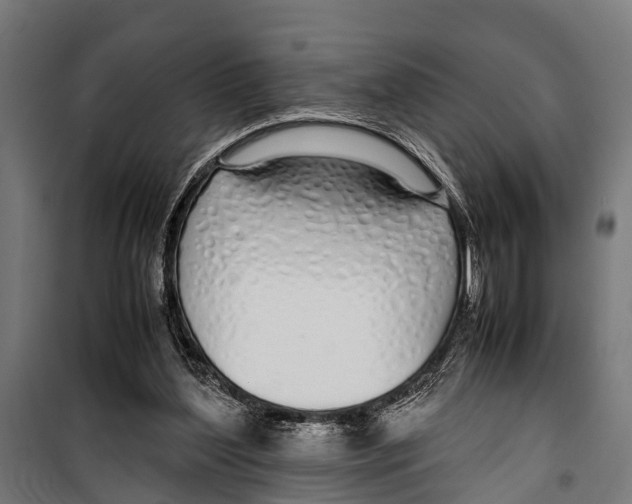 X0000099930204200806201104