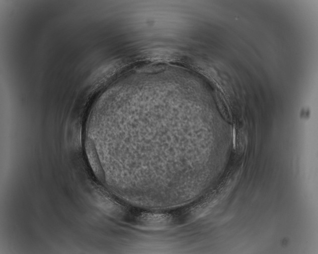 X0000099930205200806201104