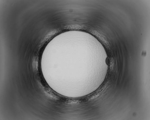 X0000099930206200806201104