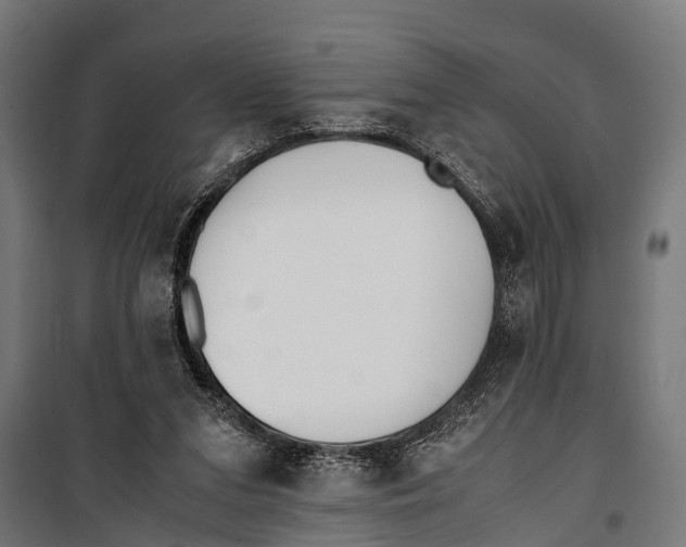 X0000099930207200806201104