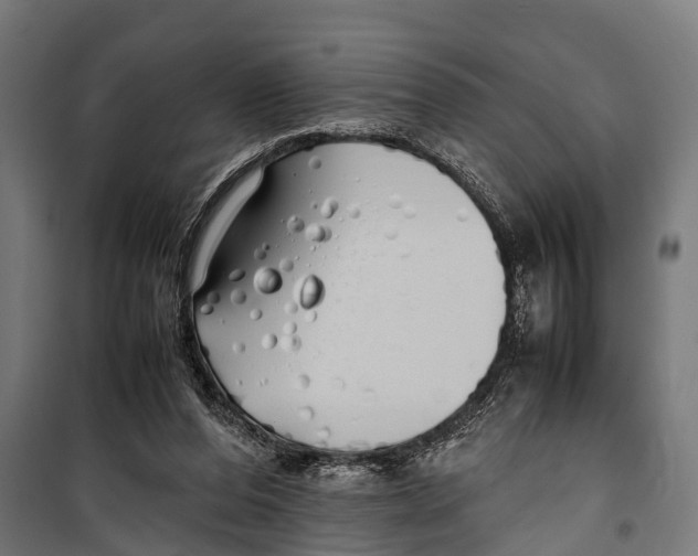 X0000099930208200806201104