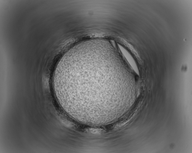 X0000099930209200806201104