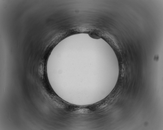 X0000099930210200806201104