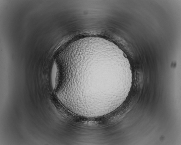 X0000099930212200806201104