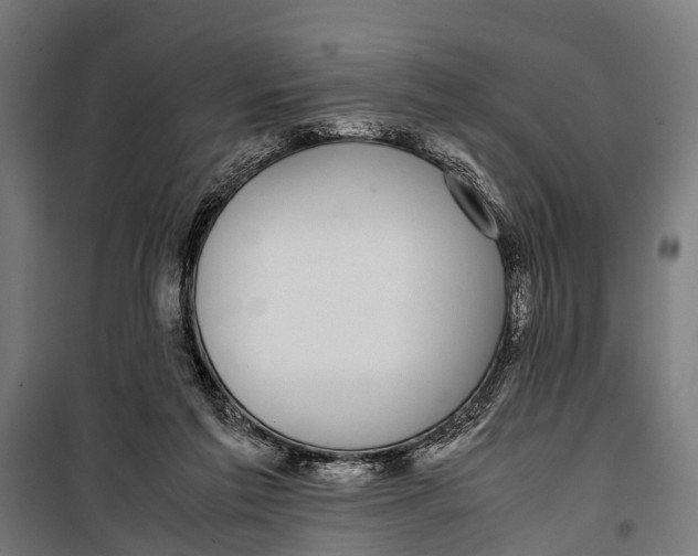 X0000099930213200806201104