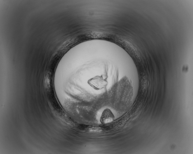 X0000099930214200806201104