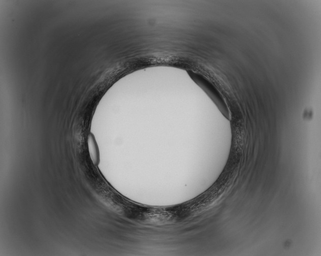 X0000099930215200806201104