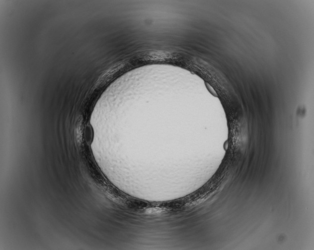 X0000099930216200806201104