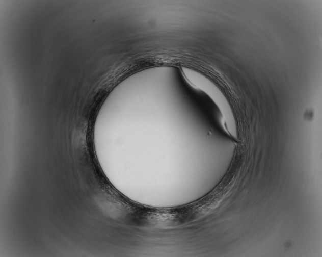 X0000099930217200806201104