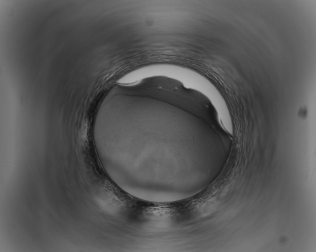 X0000099930219200806201104