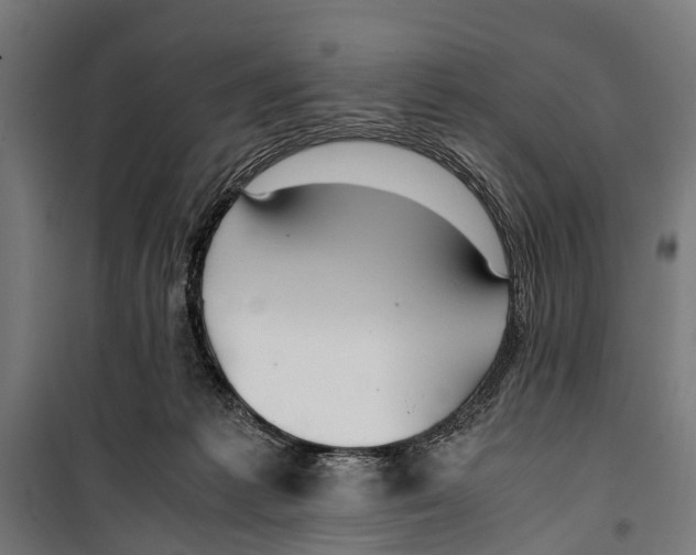 X0000099930221200806201104