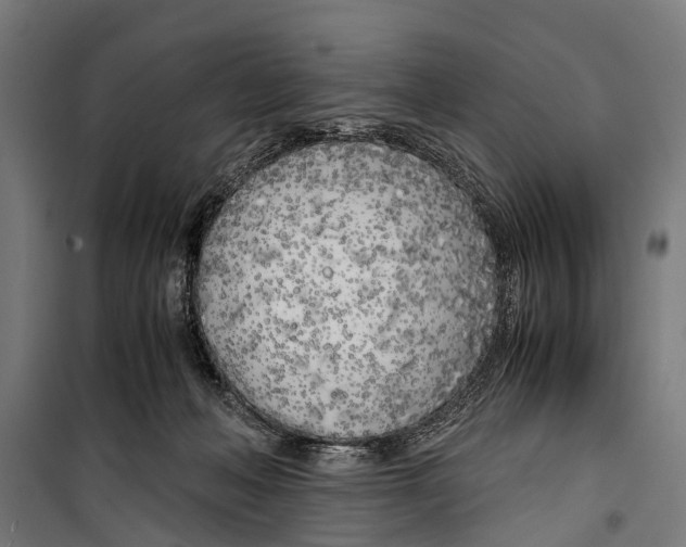 X0000099930222200806201104