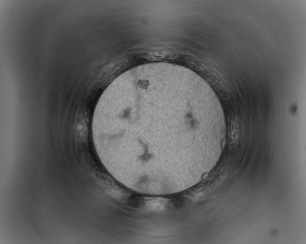 X0000099930226200806201104