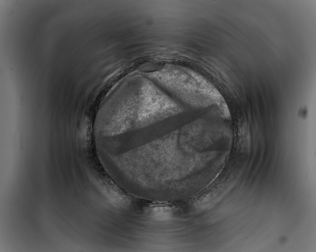 X0000099930228200806201104