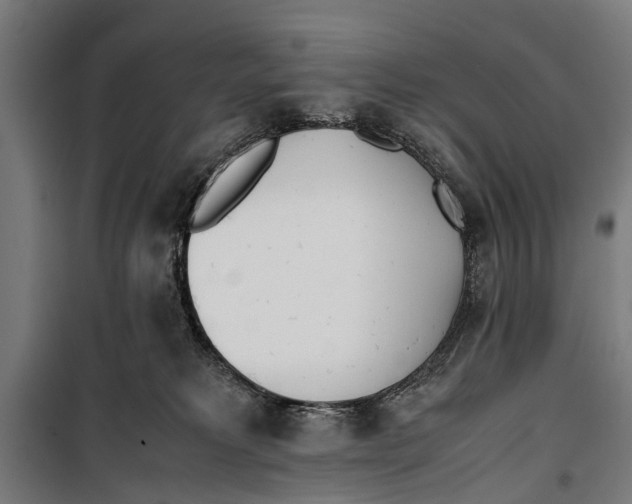 X0000099930229200806201104