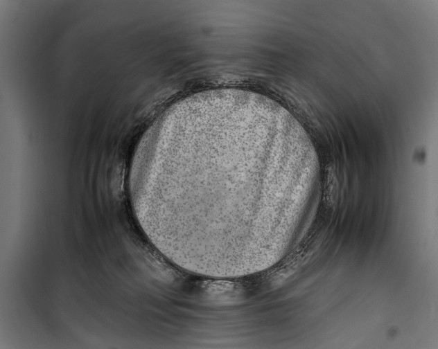 X0000099930230200806201104