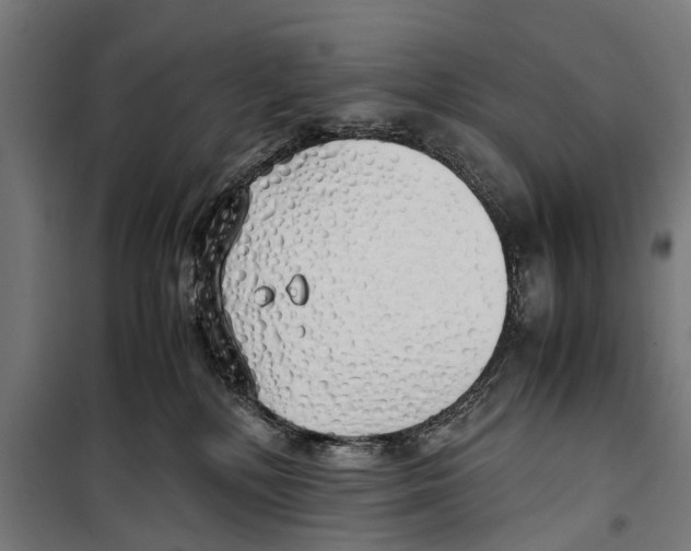 X0000099930232200806201104