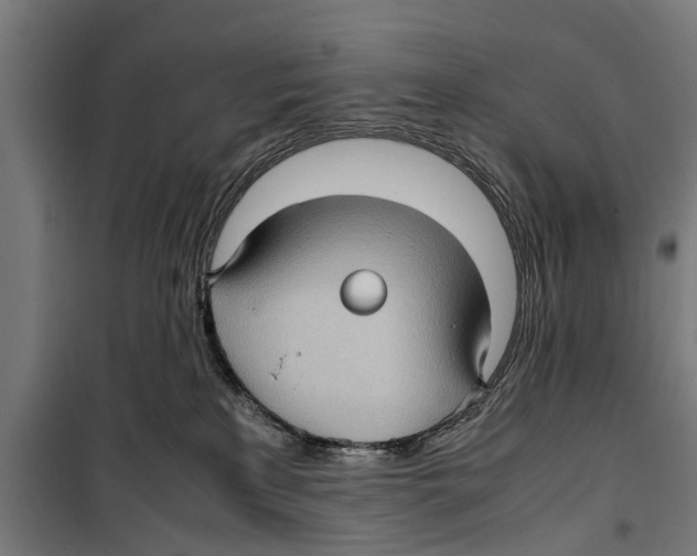 X0000099930233200806201104