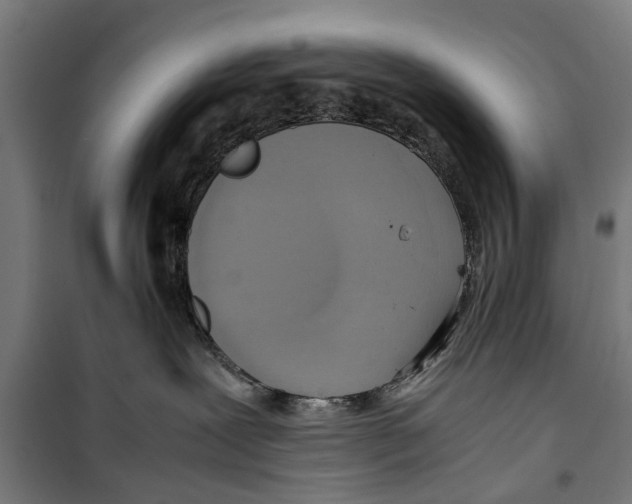 X0000099930239200806201104