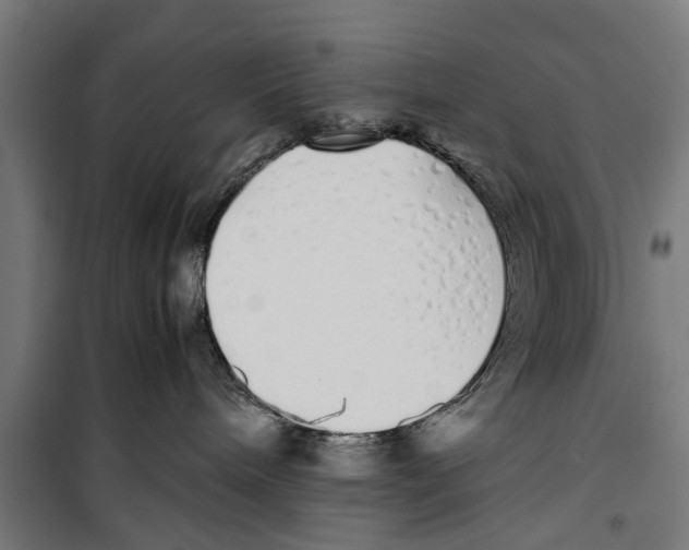 X0000099930240200806201104