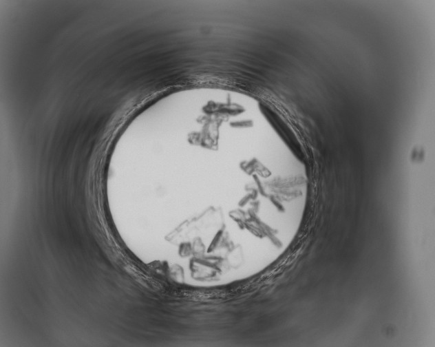 X0000099930241200806201103