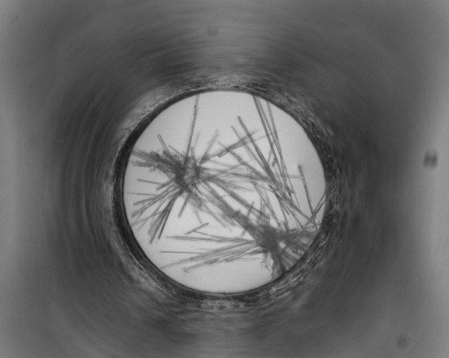 X0000099930242200806201103