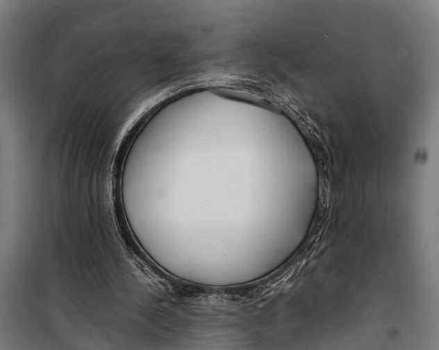 X0000099930244200806201103