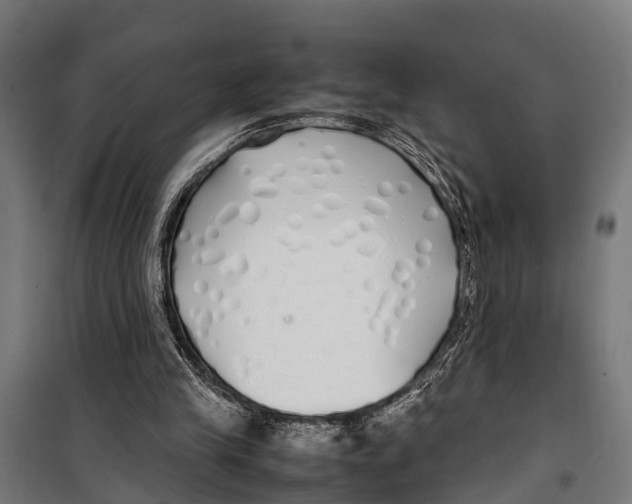 X0000099930245200806201103