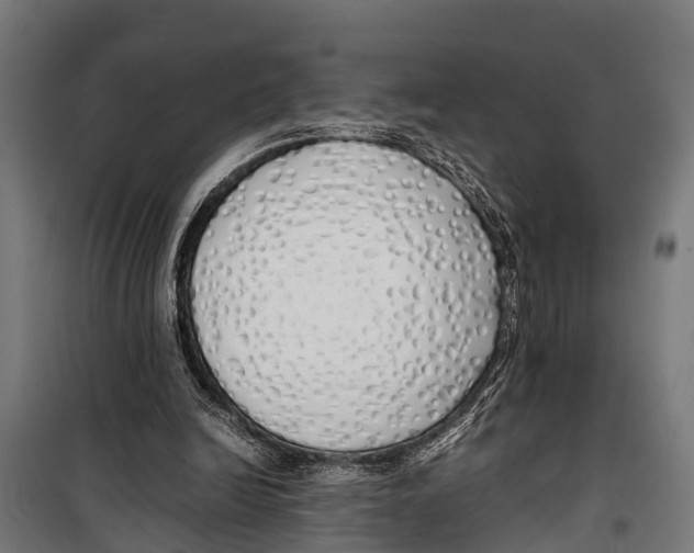 X0000099930246200806201103