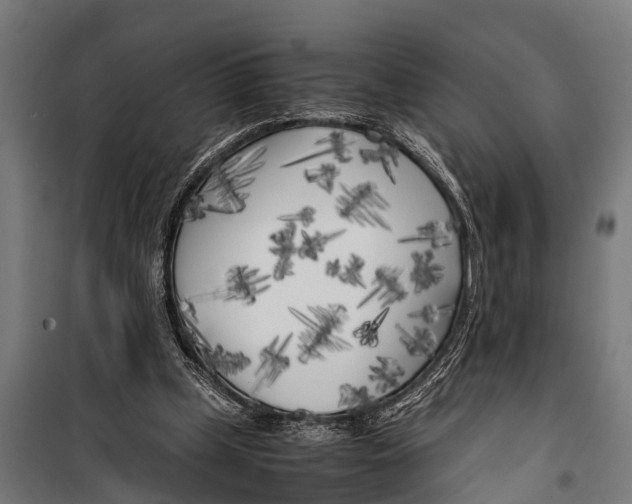 X0000099930249200806201103