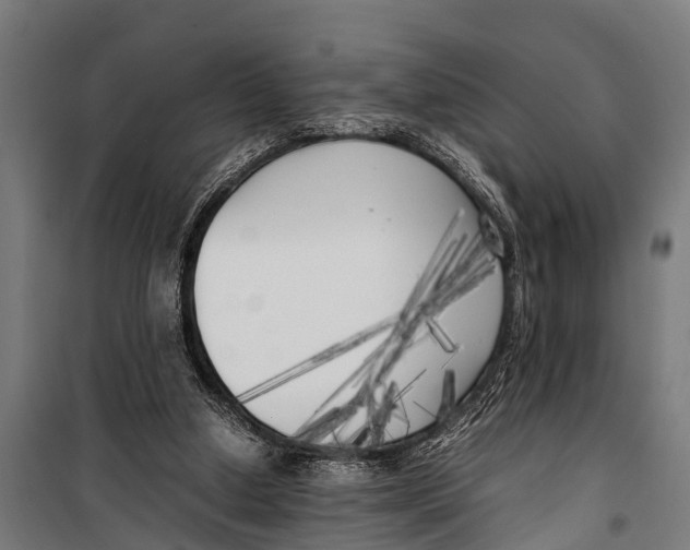 X0000099930250200806201103