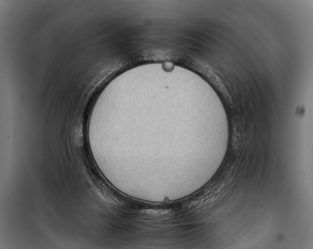 X0000099930251200806201103