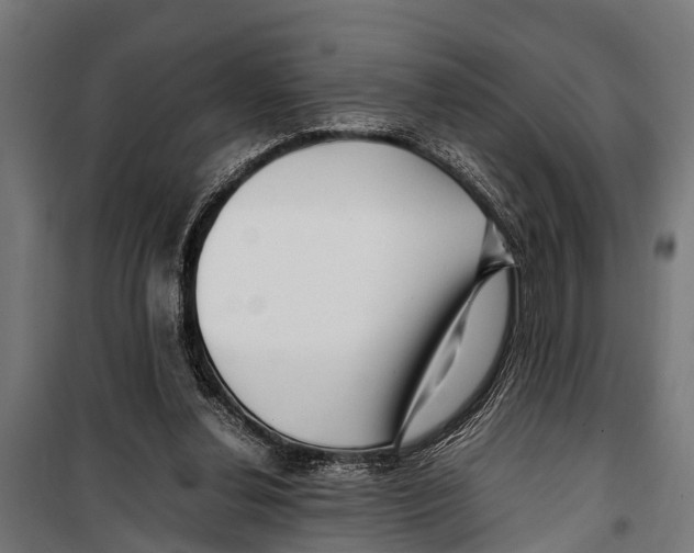 X0000099930252200806201103