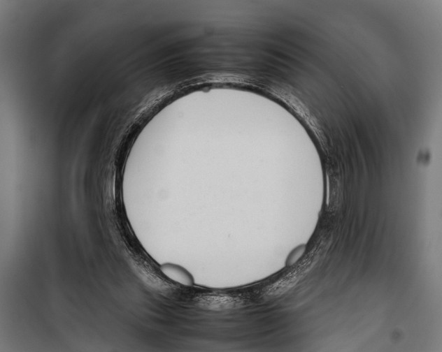 X0000099930253200806201103