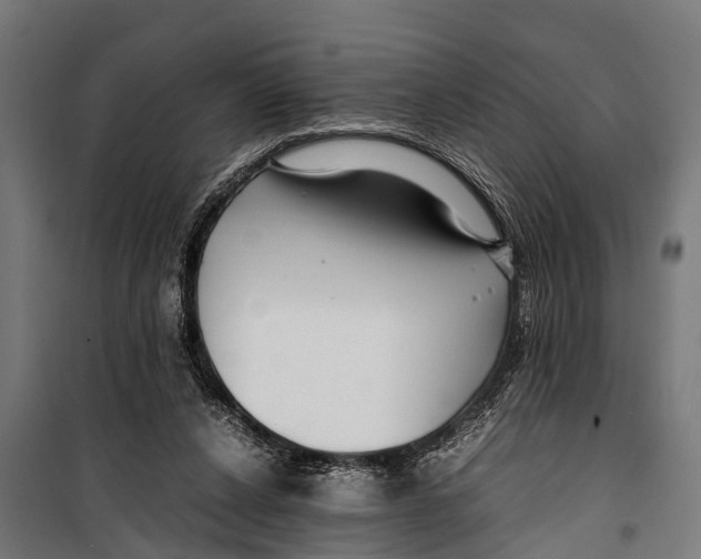 X0000099930256200806201103