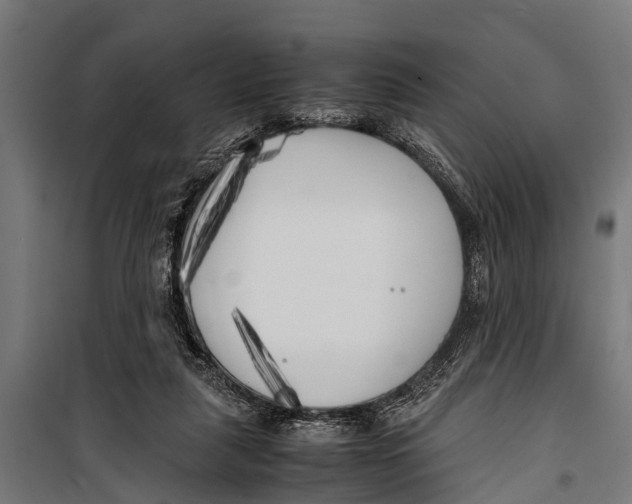 X0000099930259200806201103