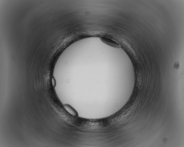 X0000099930260200806201103