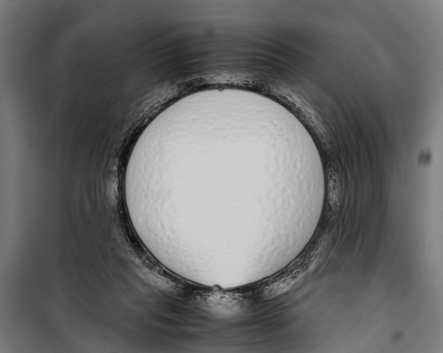 X0000099930261200806201103