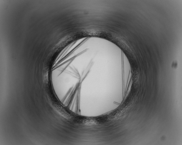 X0000099930262200806201103