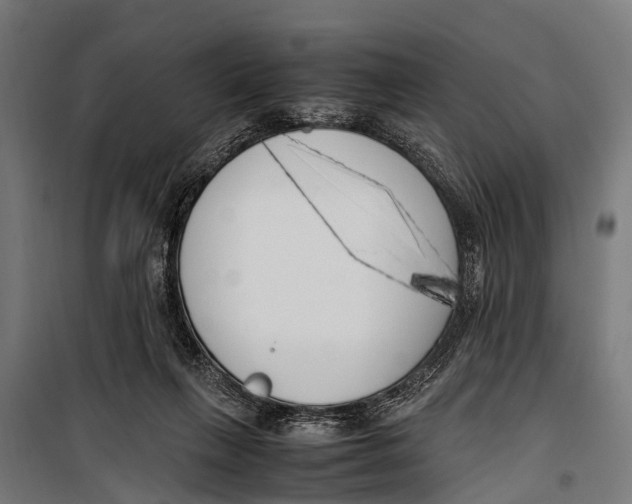 X0000099930263200806201103