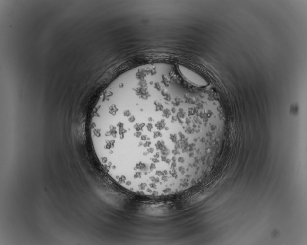 X0000099930267200806201103