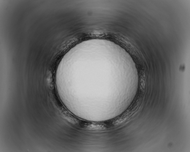 X0000099930270200806201104