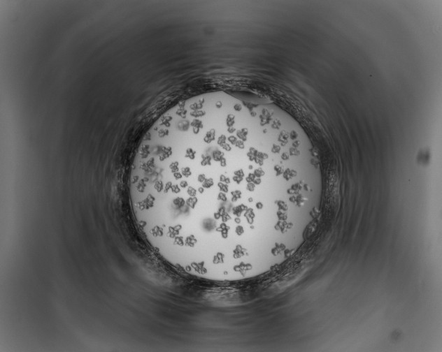 X0000099930271200806201104